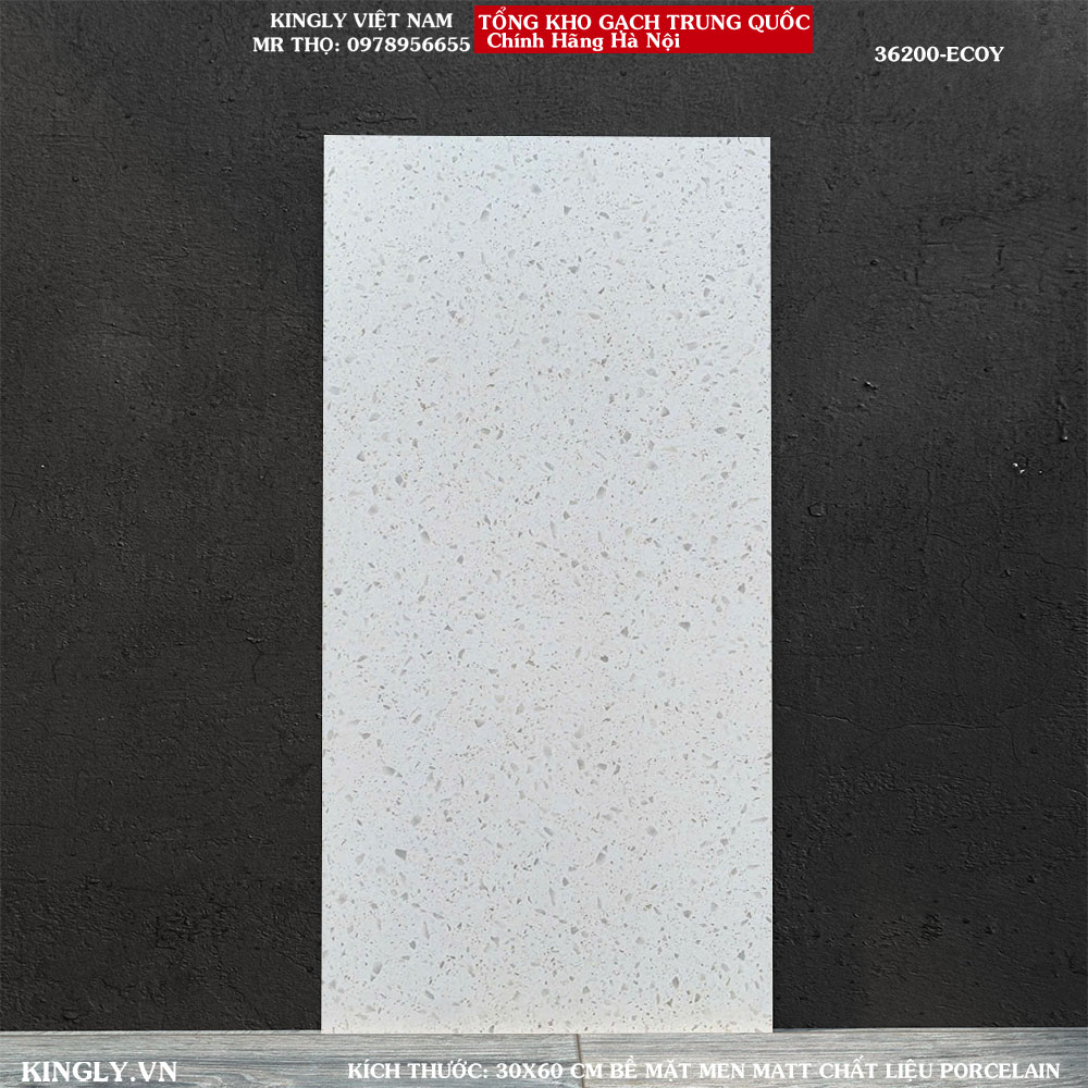 Gạch Terrazzo 300x600 36200